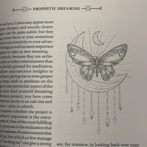 The Book of Divination, paperback. NWT - Picture 3 of 12